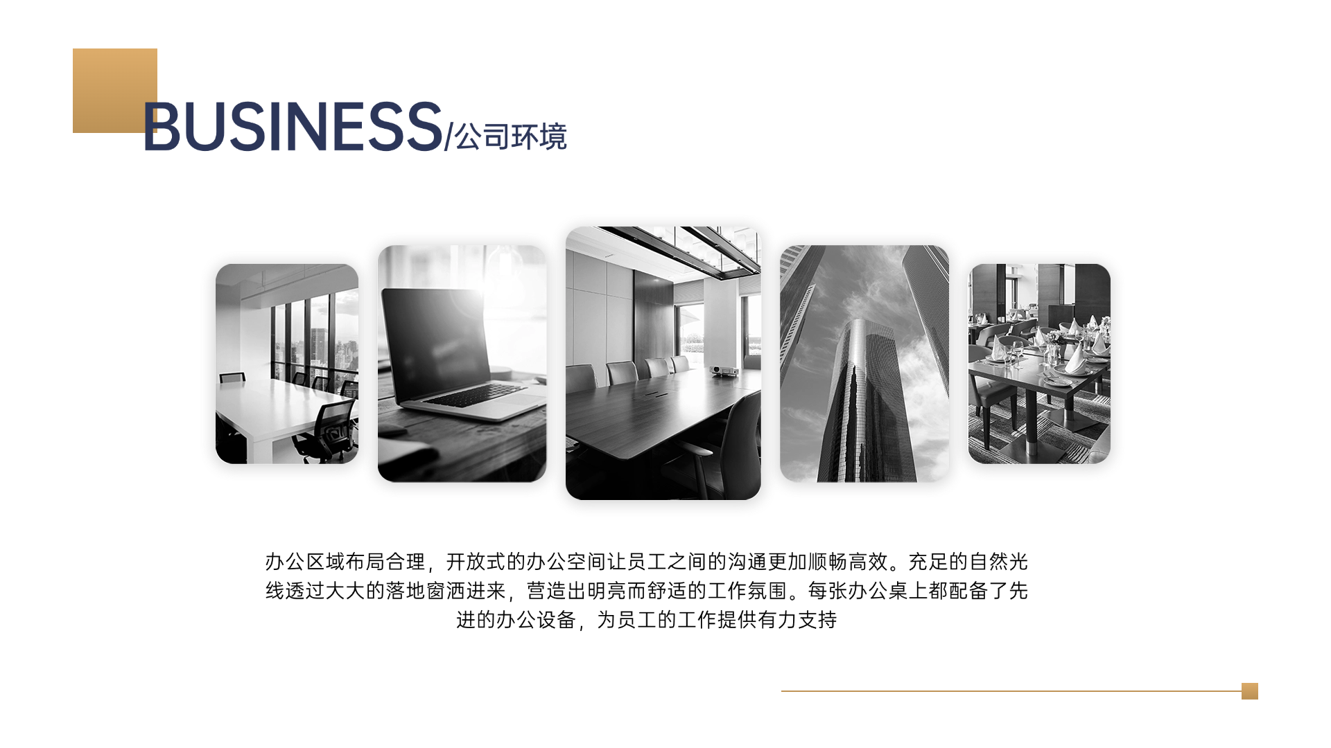 介绍图片4