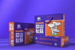 印刷包装环保购物手提袋无纺布袋